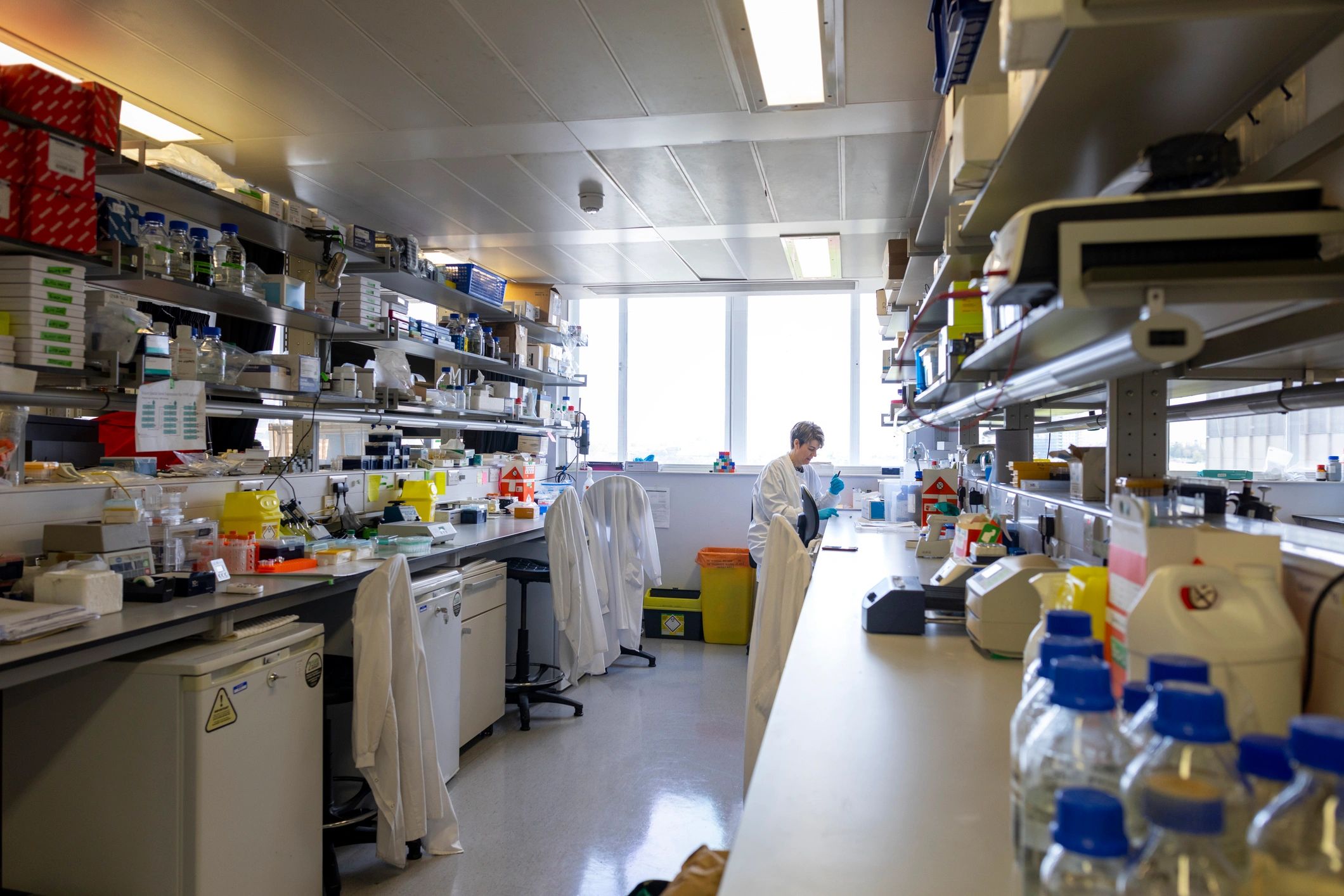 Research scientist working in a laboratory