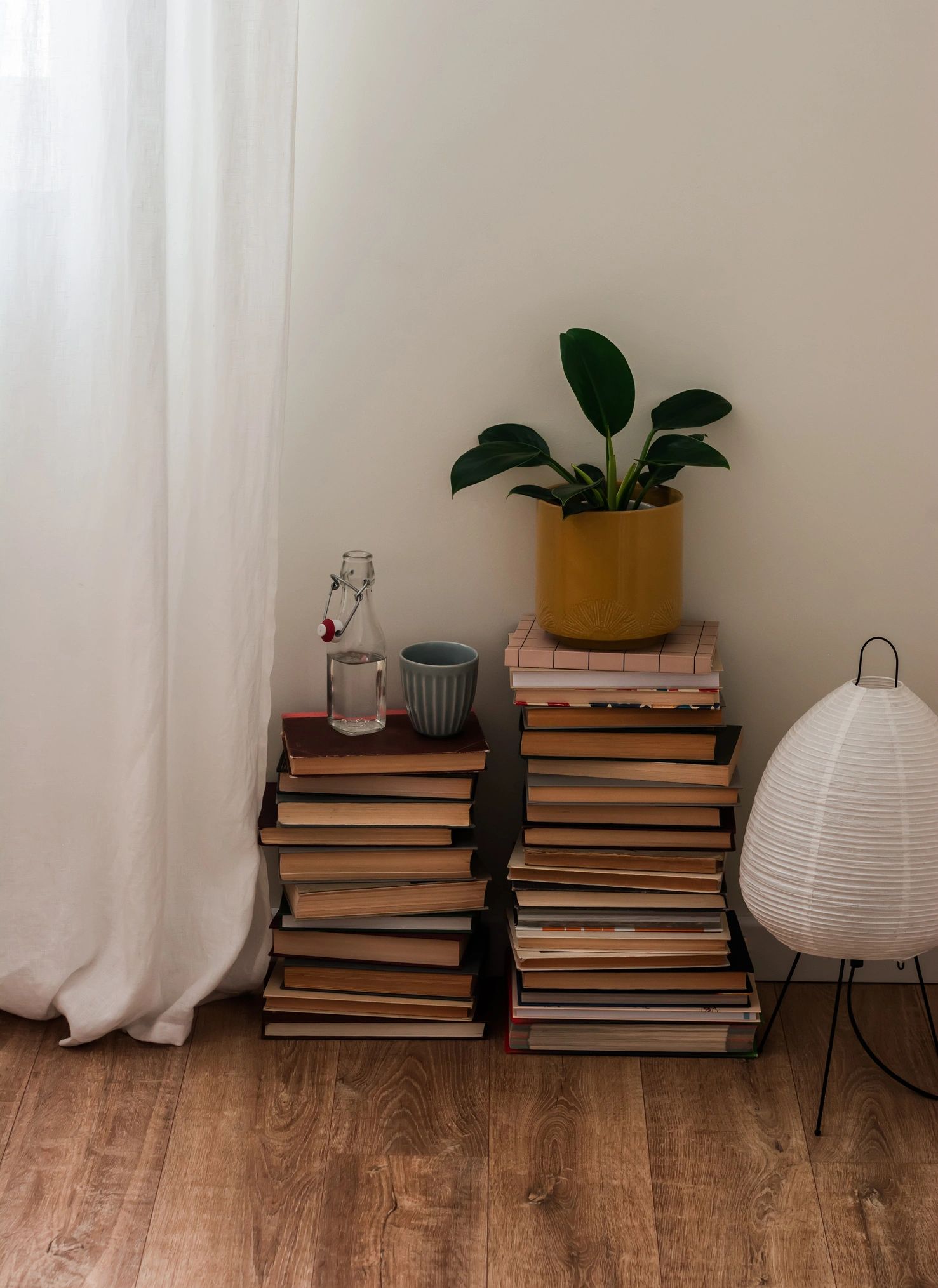 Collection of books representing ideas and discovery